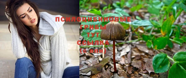 ГАЛЛЮЦИНОГЕННЫЕ ГРИБЫ Верхний Тагил