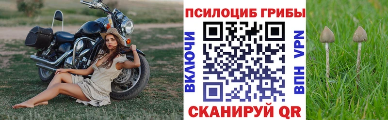Псилоцибиновые грибы MAGIC MUSHROOMS  Семёнов 
